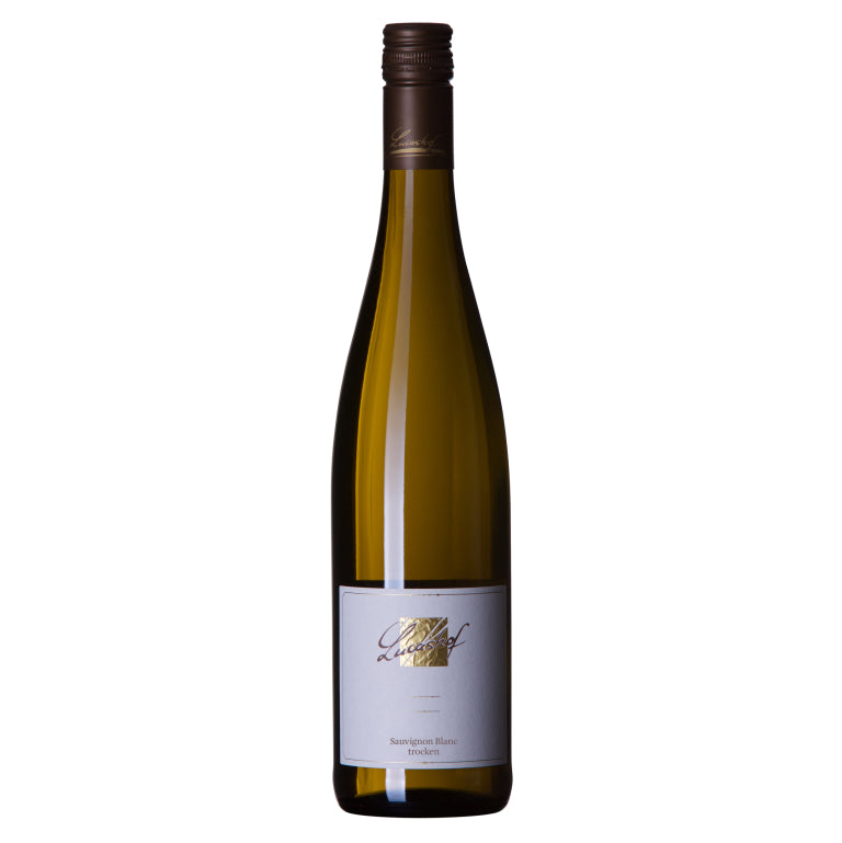 2022 Sauvignon blanc trocken Gutswein (Nr.18)